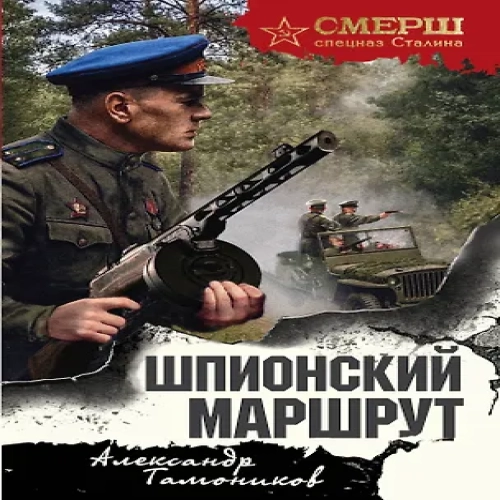 Шпионский маршрут (Где дешевле?)