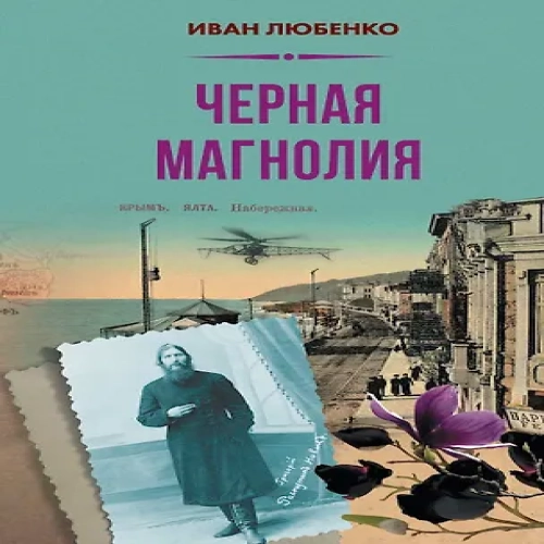Чёрная магнолия (Где дешевле?)