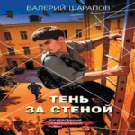 Тень за стеной (Где дешевле?)