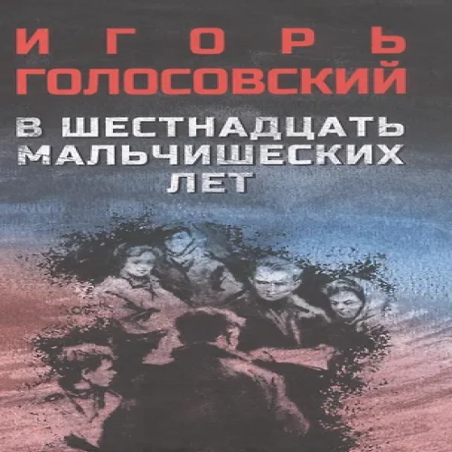 В шестнадцать мальчишеских лет: роман (Где дешевле?)