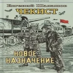 Чекист. Новое назначение (Где дешевле?)