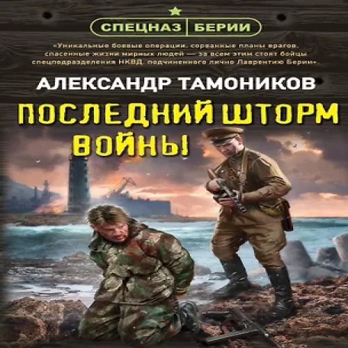 Последний шторм войны (Где дешевле?)