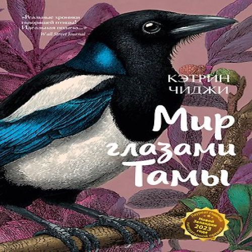 Мир глазами Тамы (Где дешевле?)